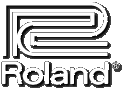 Roland Amps
